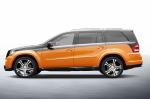 Mercedes-Benz CGL 45 Royal Last Edition by Carlsson 2012 года
